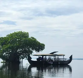 Traditional boat tour in Kochi