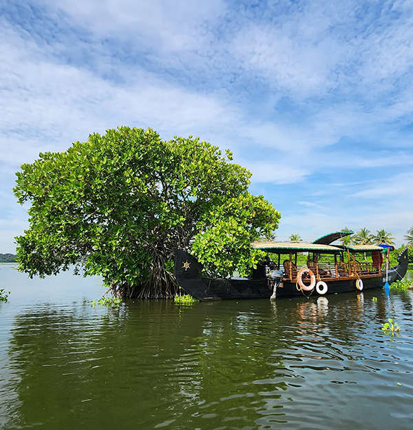 best dining restaurants in cochin
