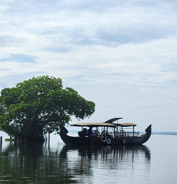 best dining restaurants in cochin